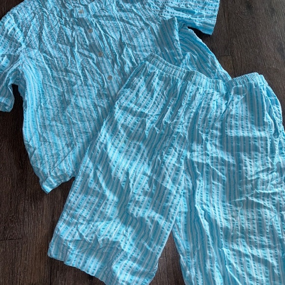 Appleseeds XL top and 14 petite Bermuda shorts matching set - Picture 2 of 8